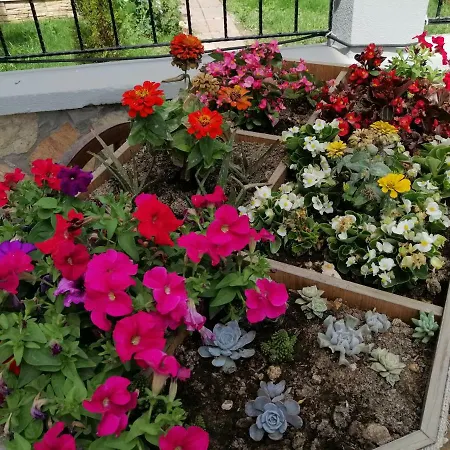 Vilă Lighthouse Lilia