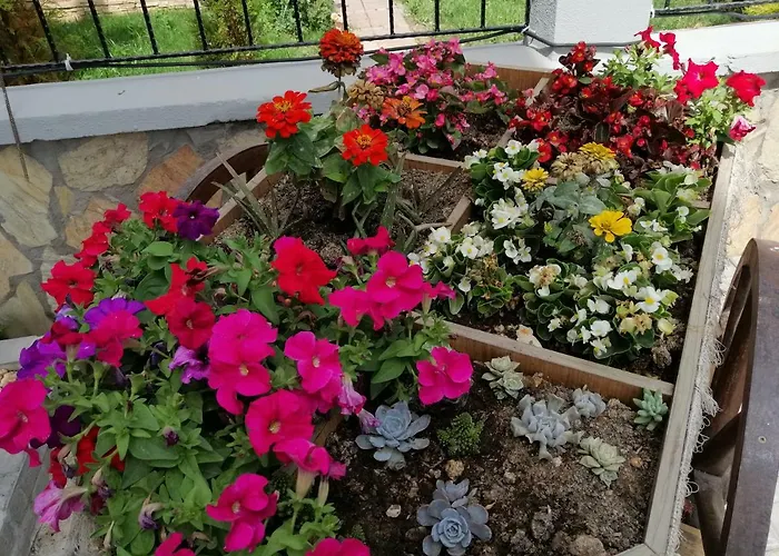 别墅 Lighthouse Lilia