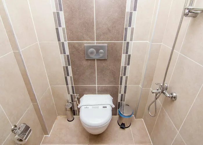 Lighthouse Lilia 别墅 费特希耶